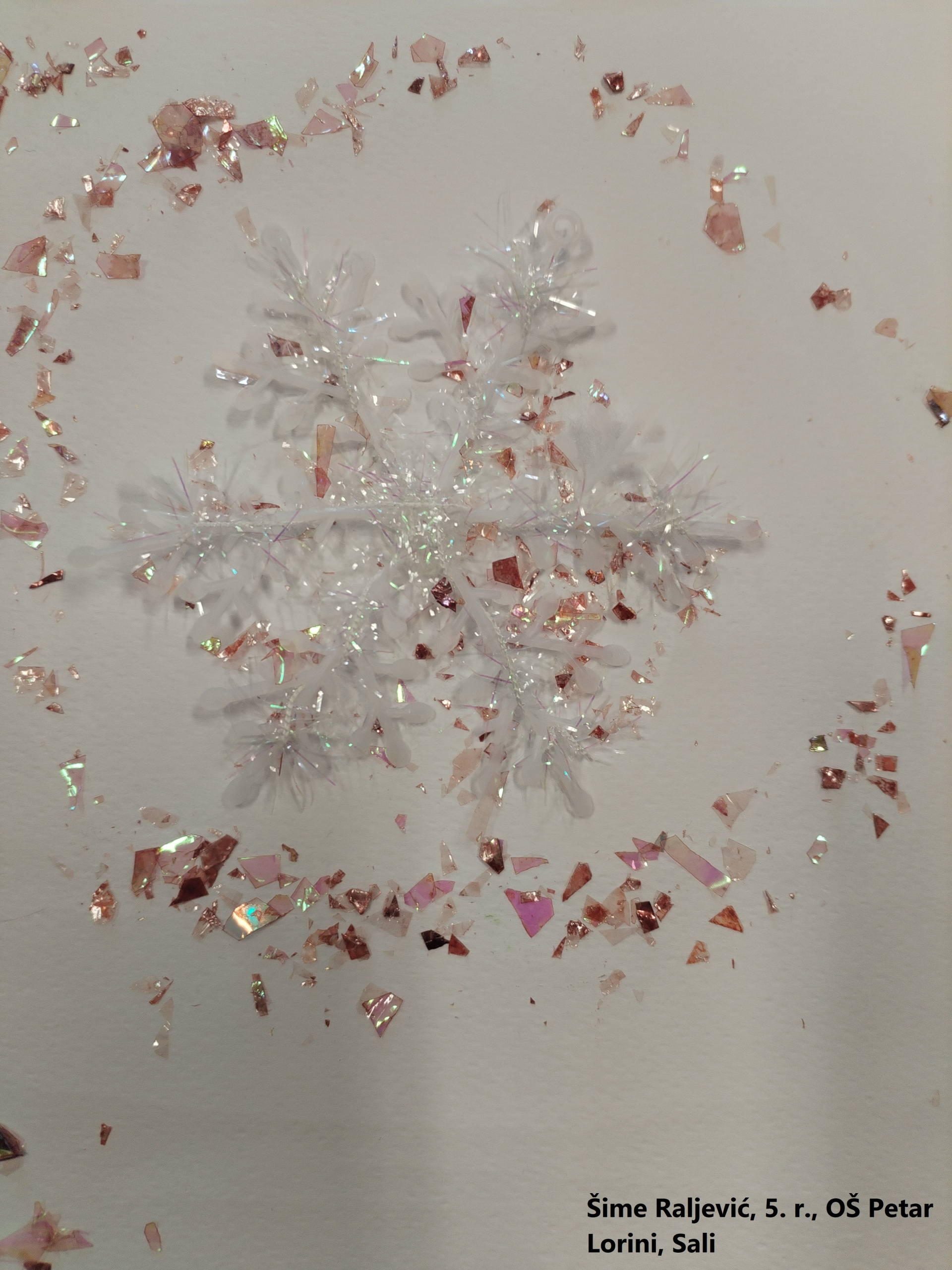 Šime_RAljevic_5_r_2