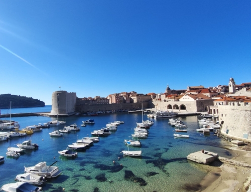 Predavanja u OŠ Marina Držića, Dubrovnik