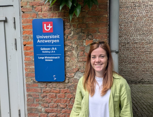 Ljetna škola u Antwerpenu